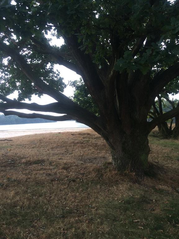 皮得斯费尔德Landbrise别墅 客房 照片